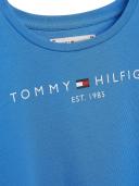 Tommy Hilfiger Essential Cotton Logo T-Shirt in Blue 16