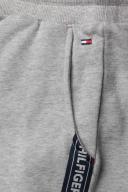 Tommy Hilfiger Icon Logo Shorts Grey