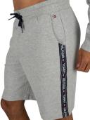 Tommy Hilfiger Icon Logo Shorts Grey