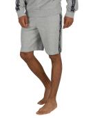 Tommy Hilfiger Icon Logo Shorts Grey
