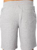 Tommy Hilfiger Icon Logo Shorts Grey