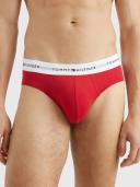 Tommy Hilfiger Logo Briefs 3 Pack in Assorted L