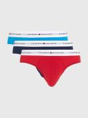 Tommy Hilfiger Logo Briefs 3 Pack in Assorted XL