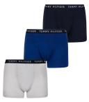 Tommy Hilfiger Logo Waistband Trunks 3-Pack in Multi Assorted S
