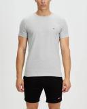 Tommy Hilfiger Men's Essential Cotton Tee