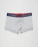 Tommy Hilfiger - Men's Grey Trunks - Authentic Stretch Trunks - Size S at The Iconic