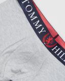 Tommy Hilfiger - Men's Grey Trunks - Authentic Stretch Trunks - Size S at The Iconic