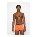 Tommy Hilfiger UM0UM022030UG Men Pants brown/navy/blue L