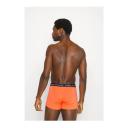 Tommy Hilfiger UM0UM022030UG Men Pants brown/navy/blue L