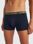 Tommy Hilfiger Um0um02324 Boxer 3 Units Blue L Man UM0UM02324-0UG-LG