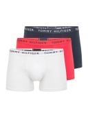 Tommy Hilfiger Underwear 3 Pack Trunks