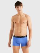 Tommy Jeans 3 Pack Trunk Print Underwear Des Sky/Iceberg
