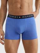 Tommy Jeans 3 Pack Trunk Print Underwear Des Sky/Iceberg