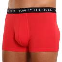 Tommy Jeans Trunk 3 Pack - L