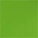 Topanga Women's Gigi Classic Bikini Bottom in Green | Size 12