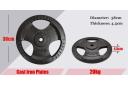 Total 80kg - 20kg x 4 - Standard 26.5mm Triple Handle Cast Iron Weight Plate