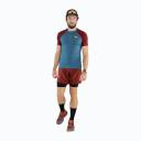 Trainers Dynafit Ultra 100 Maroon Blue Orange - 41