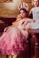 Tutu Du Monde - Clothing, Pink, Girl, 12 Yrs
