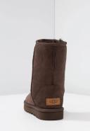 UGG Classic Short II Brown Boots
