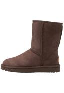 UGG Classic Short II Brown Boots
