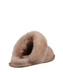 Ugg Scuffette Ii Slippers Scallop