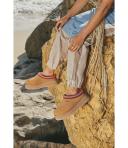 UGG Tazz Slipper Chestnut (Women's)