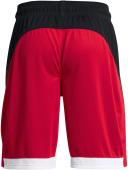 Under Armour Baseline 10in Shorts Red L Man