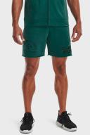 Under Armour Men's Project Rock Heavyweight Terry Shorts Green 3XL