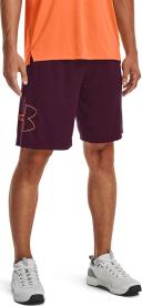 Under Armour Men's Tech Graphic Shorts Purple SM