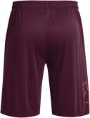 Under Armour Men's Tech Graphic Shorts Purple XL