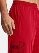 Under Armour Men's Tech Graphic Shorts - Red/Black (Medium)