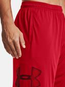 Under Armour Men's Tech Graphic Shorts (Red/Black) S