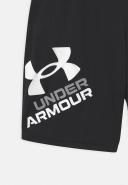 Under Armour Prototype 2.0 Logo Shorts Black White Boys - S