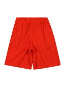 Under Armour Prototype 2.0 Logo Shorts Red Black Kids - XL