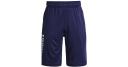 Under Armour Prototype 2.0 Wordmark Shorts Blue S Boy
