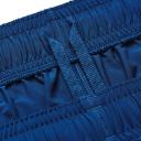 Under Armour Woven Graphic Shorts Blue White - L