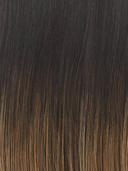 Untold Story by Raquel Welch Heat Synthetic Lace Front Wig