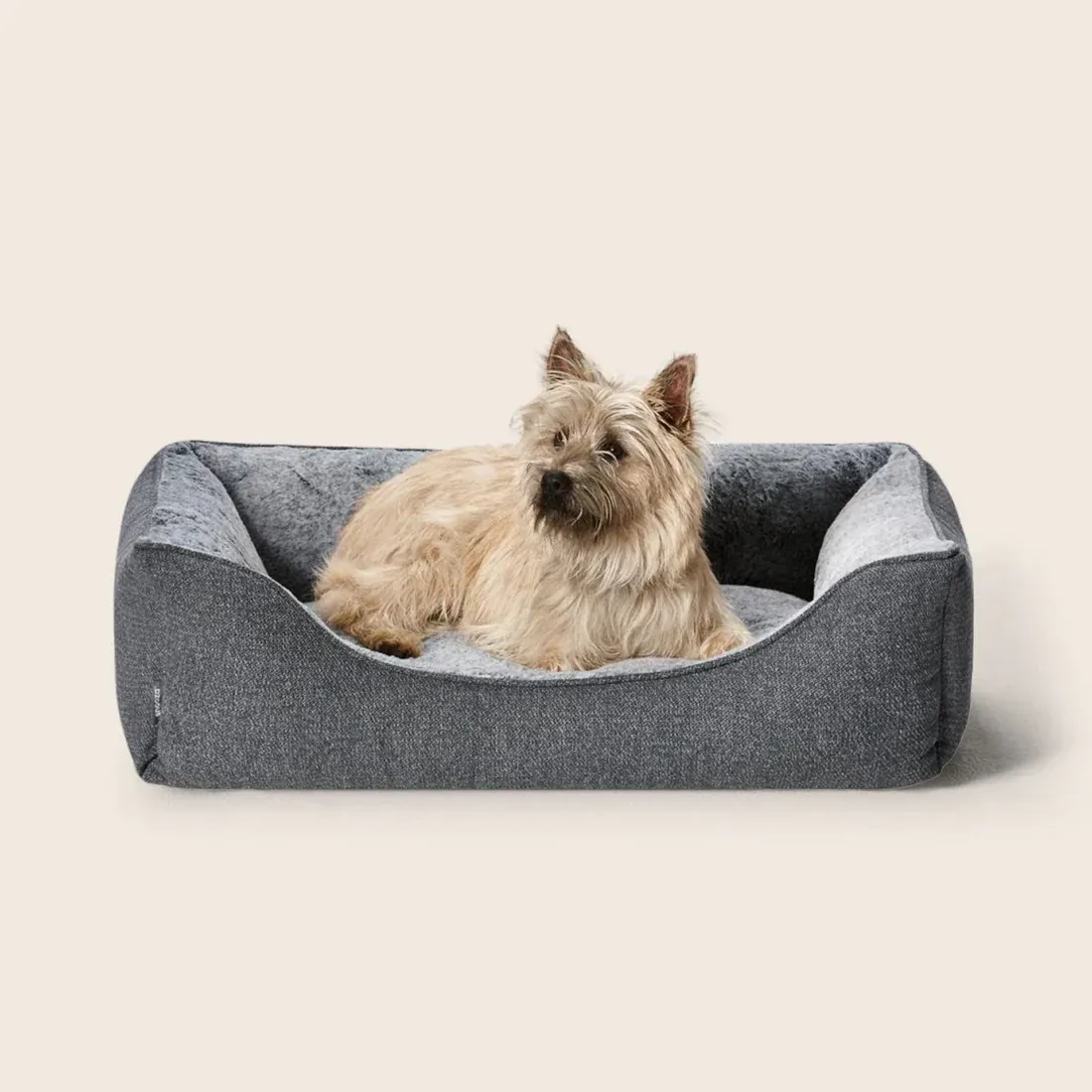 Snooza Low Front Lounger Grey Small/Medium