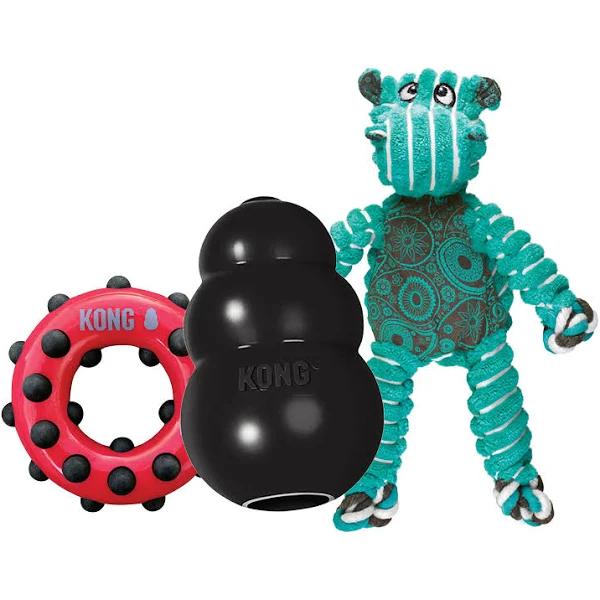 Kong Extreme Small Bundle of Fun Toy Pack For Dogs by Budget Pet Products