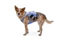 Ruffwear Swamp Cooler Harness Purple S