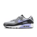 Nike Air Max 90 Light Thistle Photon Dust/Cool Grey/Light Thistle