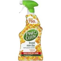 Pine O Cleen Brand New Day Multipurpose Spray Mandarin & Ginger Lily 750ml