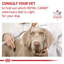 Royal Canin Veterinary Mature Consult Large Dog 14 kg