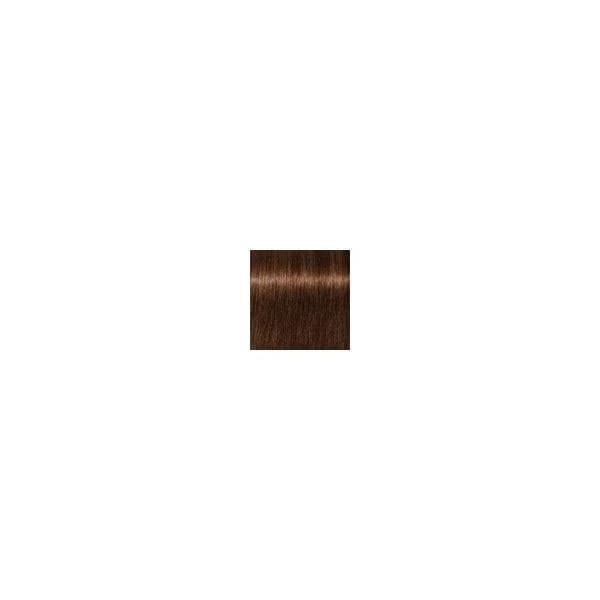 Schwarzkopf Igora Royal Absolutes Age Blend 6-460 Dark Blonde Beige Chocolate 60ml