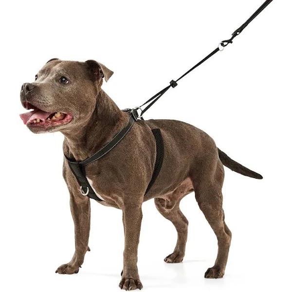 Kmart Dog No Pull Harness - Medium, Black