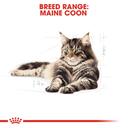 Royal Canin Maine Coon Gravy Adult Wet Cat Food 12 x 85g