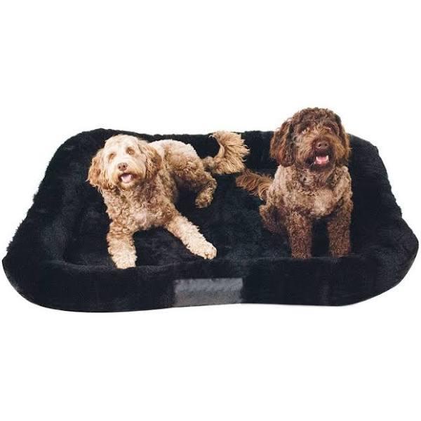 Kelsie Padded Dog Bed 3 Assorted Colours - AfterPay & zipPay Available