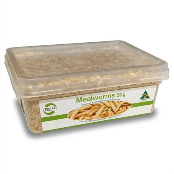 Pisces Regular Mealworms 50g