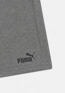 Puma | Kids Essential Sweat Shorts (Grey)