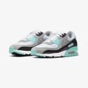 Nike Air Max 90 (Grey / Turquoise)